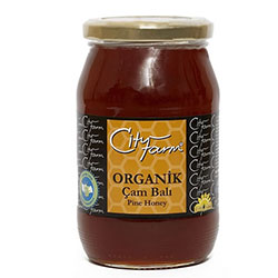 City Farm Organik Çam Balı 480gr