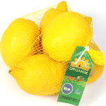 City Farm Organik Limon (KG)