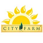 City Farm Organik Burgu Makarna 250gr