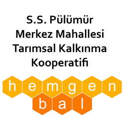 Pülümür Hemgen Bal