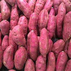 Beypazarı Organic Red Potato (KG)