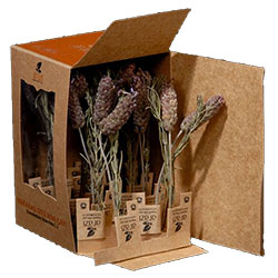ARAZİ Organic French Lavender  Sage  Tea 20 Bags