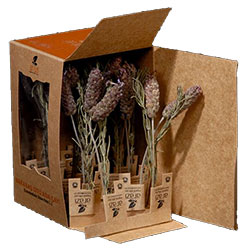 ARAZİ Organic French Lavender (Sage) Tea 20 Bags