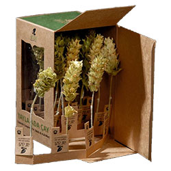 ARAZİ Organic Mountain Sage Tea 20 Bags