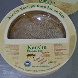 Çamik Organic Comp Honey (Kars) (KG)