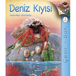 Çevir - Bak: Deniz Kıyısı (Yaş 5+) (TÜBİTAK, Hannah Wilson, Simon Mendez)