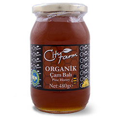 Cityfarm Organic Pine Honey 480g