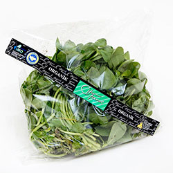 Cityfarm Organic Purslane (Pcs)