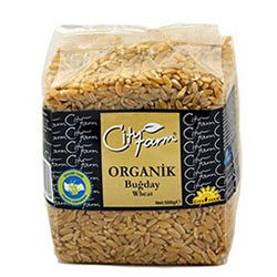 Cityfarm Organic Wheat 500g