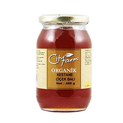 Cityfarm Organic Chestnut Flower Honey 480g