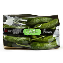 Cityfarm Organic Cucumber (KG)