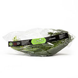 Cityfarm Organic Dill (Pcs)