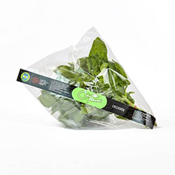 Cityfarm Organic Basil (Pcs)