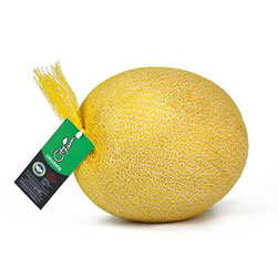 Cityfarm Organic Melon (KG)