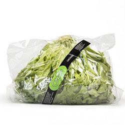 Cityfarm Organic Lettuce (Pcs)