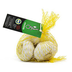 Cityfarm Organic Garlic (KG)