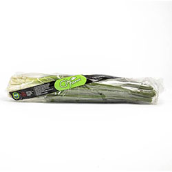 Cityfarm Organic Green Onion (Pcs)