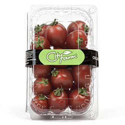 Cityfarm Organic Tomato (Star) (KG)