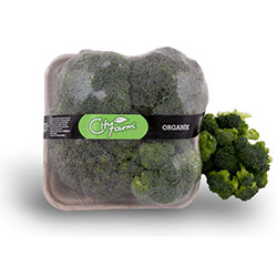 Cityfarm Organic Broccoli (KG)