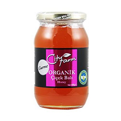 Cityfarm Organic Flower Honey (Gourmet) 480g