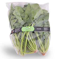 Cityfarm Organic Spinach (KG)