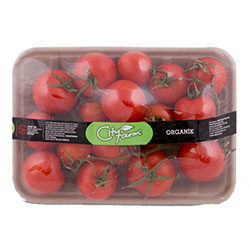 Cityfarm Organic Tomato Kokteyl (KG)