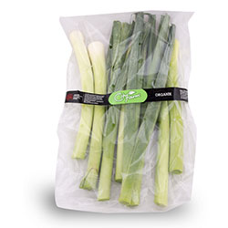 Cityfarm Organic Leek (KG)