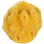 Derya Natural Sea Sponge  Shower 