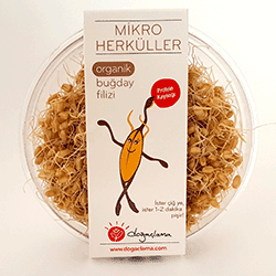 Doğaçlama Mikro Herküller Organik Buğday Filizi 75gr