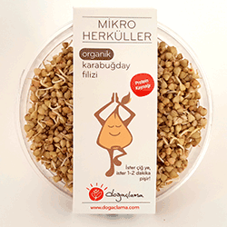 Doğaçlama Mikro Herküller Organik Karabuğday Filizi 100gr