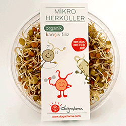 Doğaçlama Micro Hercules Organic Mix Sprout 75g