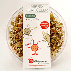 Doğaçlama Mikro Herküller Organik Karışık Filiz 75gr