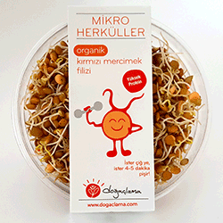 Doğaçlama Mikro Herküller Organik Kırmızı Mercimek Filizi 75gr