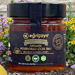 Eğriçayır Organik Polifloralı  Yabani  Çiçek Balı 300g