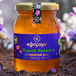 Eğriçayır Organik Devedikeni Balı  Ham Bal  225g