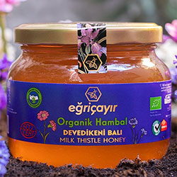 Eğriçayır Organik Devedikeni Balı  Ham Bal  450g