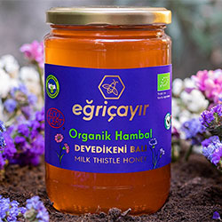 Eğriçayır Organik Devedikeni Balı  Ham Bal  850g