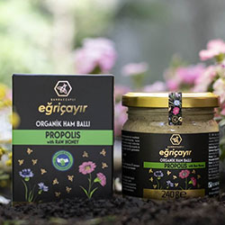 Eğriçayır Organik Ham Ballı Propolis 240g