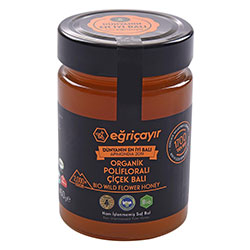 Eğriçayır Organik Polifloralı  Yabani  Çiçek Balı 450g