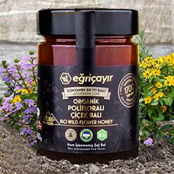 Eğriçayır Organik Polifloralı  Yabani  Çiçek Balı 450g