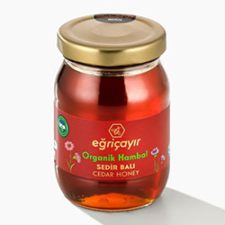 Eğriçayır Organik Sedir Balı 225g