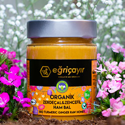 Eğriçayır Organik Zerdeçallı Zencefilli Ham Bal 415g