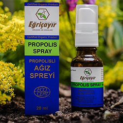 Eğriçayır Organic Propolis Spray 20ml