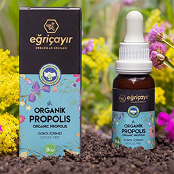 Eğriçayır Organik Propolis Damla  Su Bazlı  20ml
