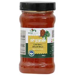 Ekoloji Market Organic Marmaris Pine Honey 400g