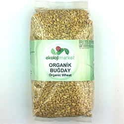 Ekoloji Market Organic Wheat 500g