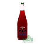 Elite Natural Organic Blueberry Juice 1L