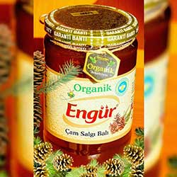 Engür Organic Pine Honey 850g