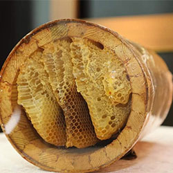Engür Organic Turkish Traditional Natural Bee Hive  Karakovan  Comp Honey  KG 