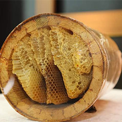 Engür Organic Turkish Traditional Natural Bee Hive (Karakovan) Comp Honey (KG)